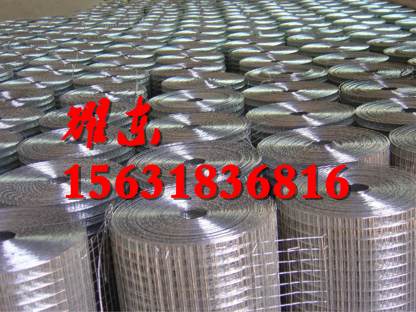 熱鍍鋅電焊網(wǎng)圖片/熱鍍鋅電焊網(wǎng)樣板圖 (1)