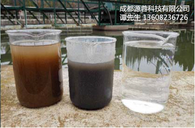 混凝沉淀圖片/混凝沉淀樣板圖 (4)