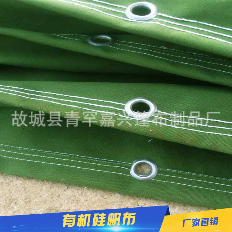 有機(jī)硅帆布圖片/有機(jī)硅帆布樣板圖 (3)