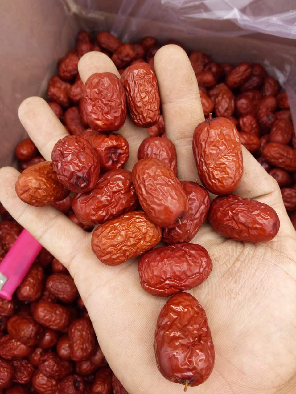 滄州紅棗加工批發(fā)   棗圈批發(fā)供應(yīng)