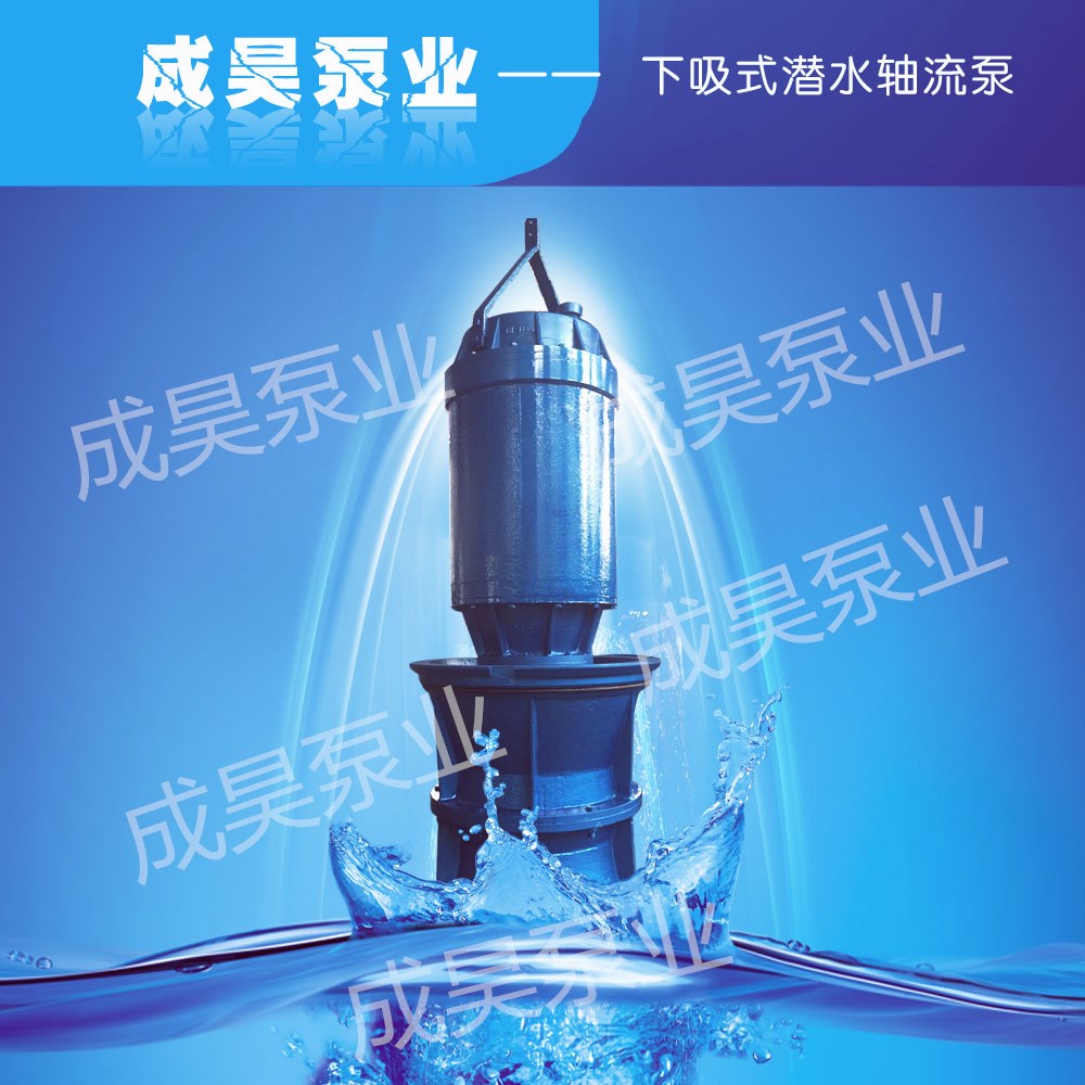 潛水軸流泵圖片/潛水軸流泵樣板圖 (3)