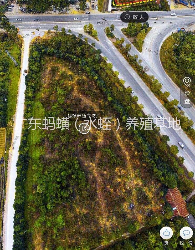 水蛭圖片/水蛭樣板圖 (3)