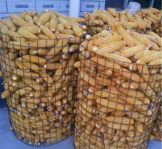 河北瀾盛專業(yè)生產(chǎn)圈玉米網(wǎng)