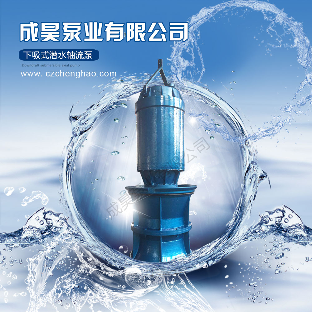 潛水軸流泵圖片/潛水軸流泵樣板圖 (2)