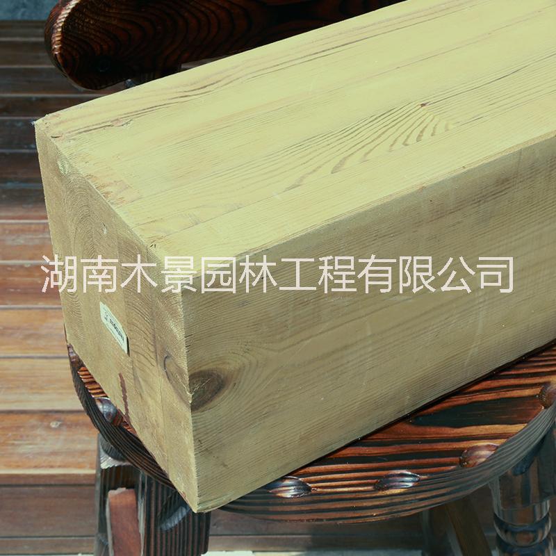 芬蘭木圖片/芬蘭木樣板圖 (3)