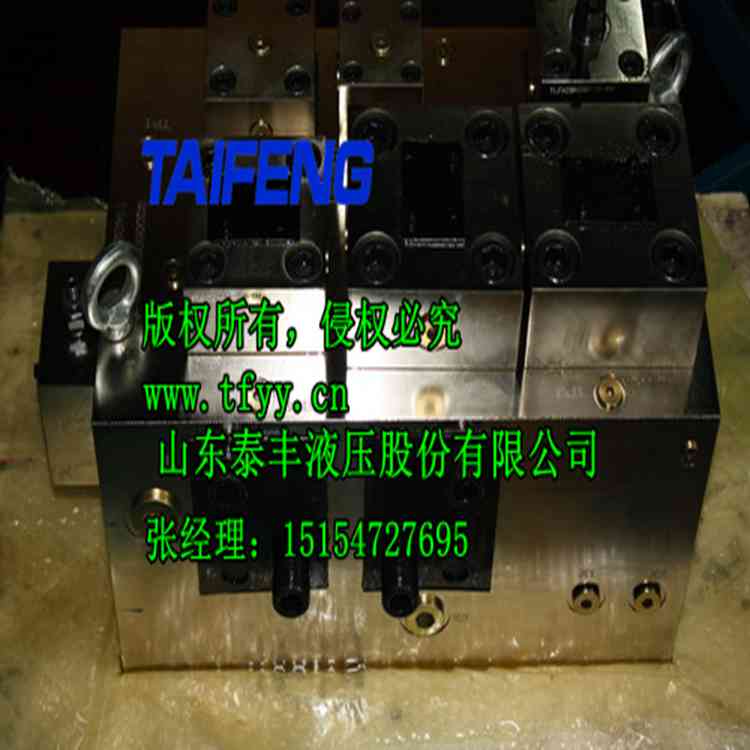 山東泰豐WC67Y-200TFCV二通插裝閥廠家直銷 WC67Y二通插裝閥