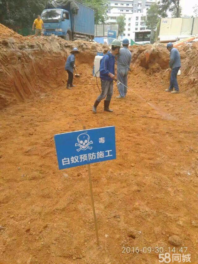 清遠專業(yè)滅蟲害服務(wù)公司 清遠滅蟲害消毒服務(wù)價格 專業(yè)白蟻治防