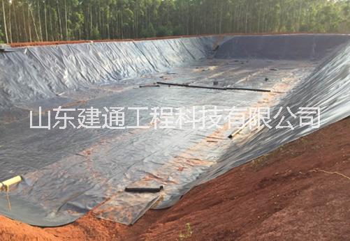 養(yǎng)殖防滲膜圖片/養(yǎng)殖防滲膜樣板圖 (2)