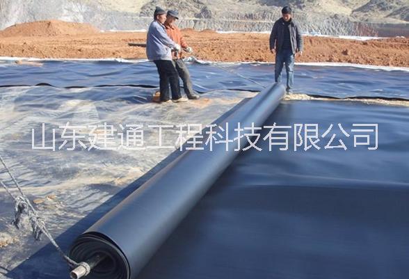 防滲膜廠家圖片