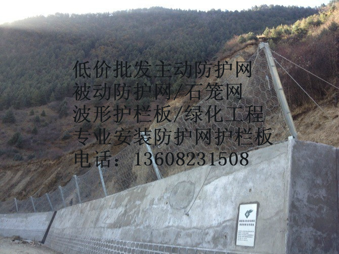 防護(hù)網(wǎng)圖片/防護(hù)網(wǎng)樣板圖 (3)