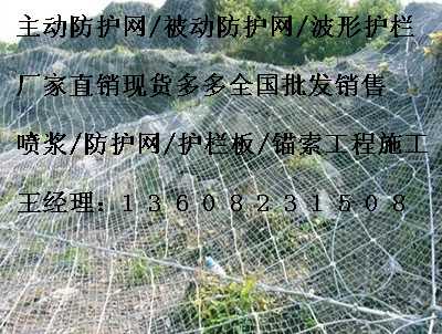 SNS主動(dòng)防護(hù)網(wǎng)生產(chǎn)廠家|重慶柔性主動(dòng)防護(hù)網(wǎng)|優(yōu)質(zhì)被動(dòng)網(wǎng)*