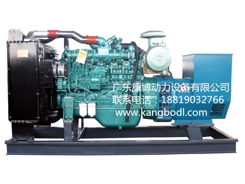 廣東玉柴發(fā)電機圖片/廣東玉柴發(fā)電機樣板圖 (3)