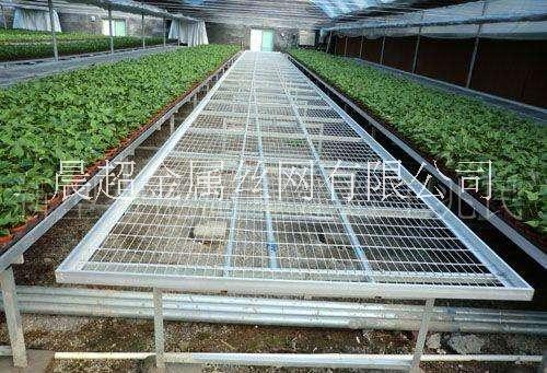 移動(dòng)苗床河北晨最專業(yè)圖片