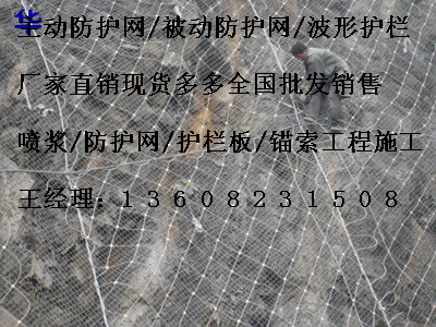 SNS主動(dòng)防護(hù)網(wǎng)圖片/SNS主動(dòng)防護(hù)網(wǎng)樣板圖 (2)