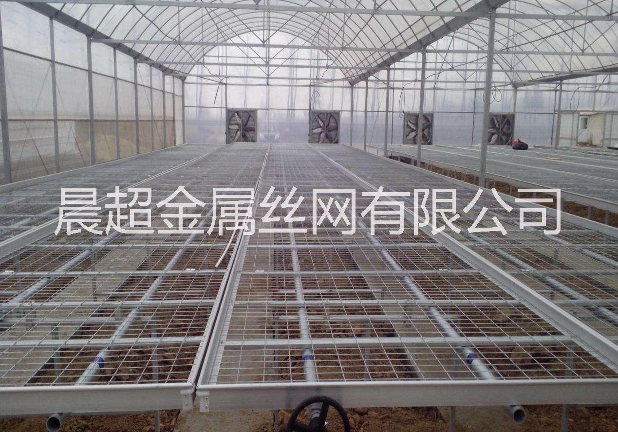 移動(dòng)苗床圖片/移動(dòng)苗床樣板圖 (3)