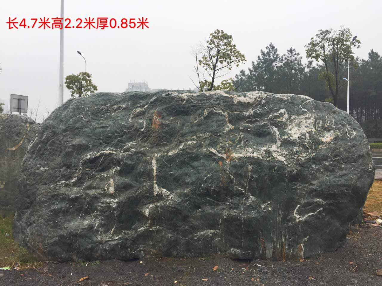 九龍玉圖片/九龍玉樣板圖 (3)