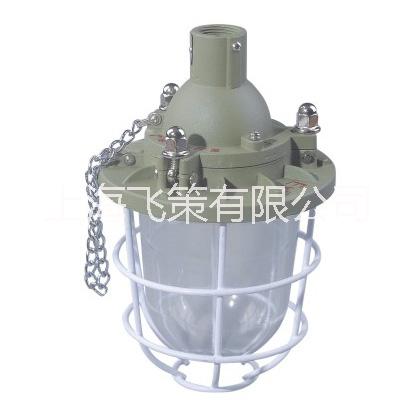 BCD52系列隔離型防爆燈圖片