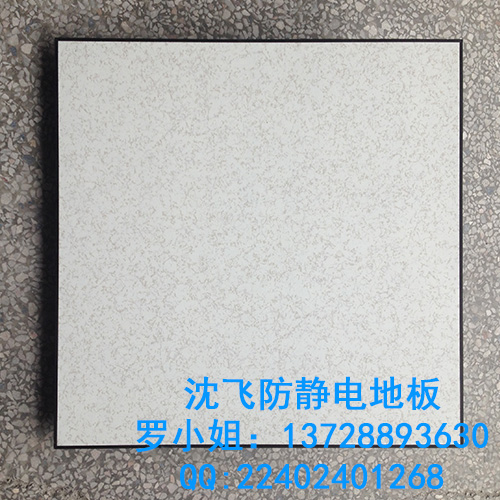 有邊防靜電地板圖片/有邊防靜電地板樣板圖 (3)