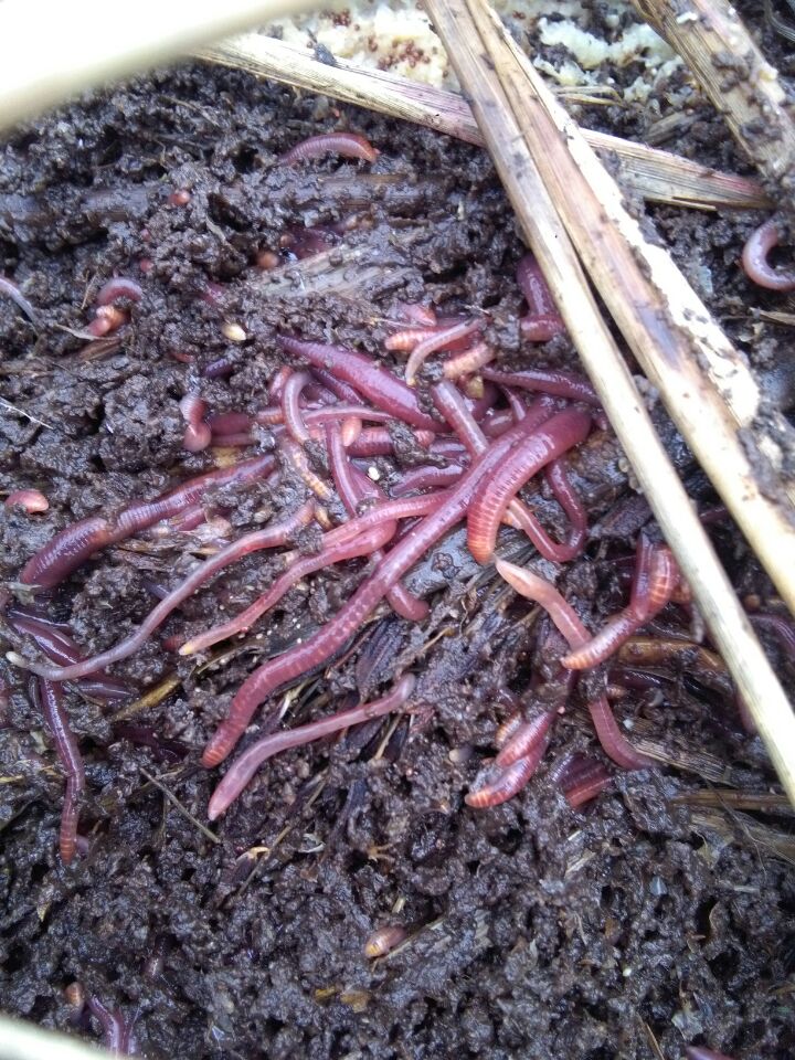 富川圖片/富川樣板圖 (3)