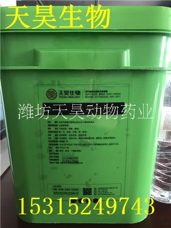 呼吸道圖片/呼吸道樣板圖 (4)