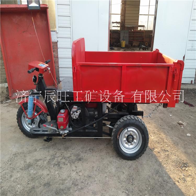 三輪車圖片/三輪車樣板圖 (3)