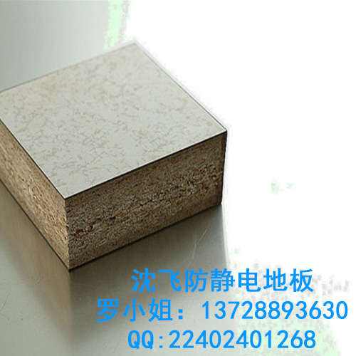 防靜電地板圖片/防靜電地板樣板圖 (2)