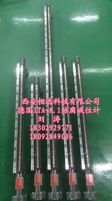 福建德國ITA-8.1液位計價格圖片