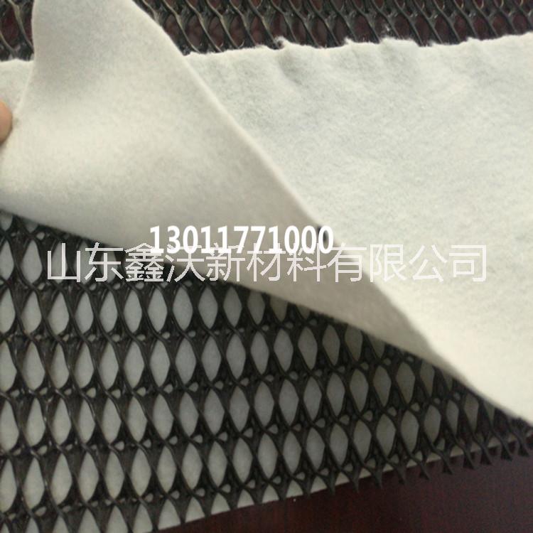 歡迎光臨山東排水網廠家供應三維排水網 塑料土工網