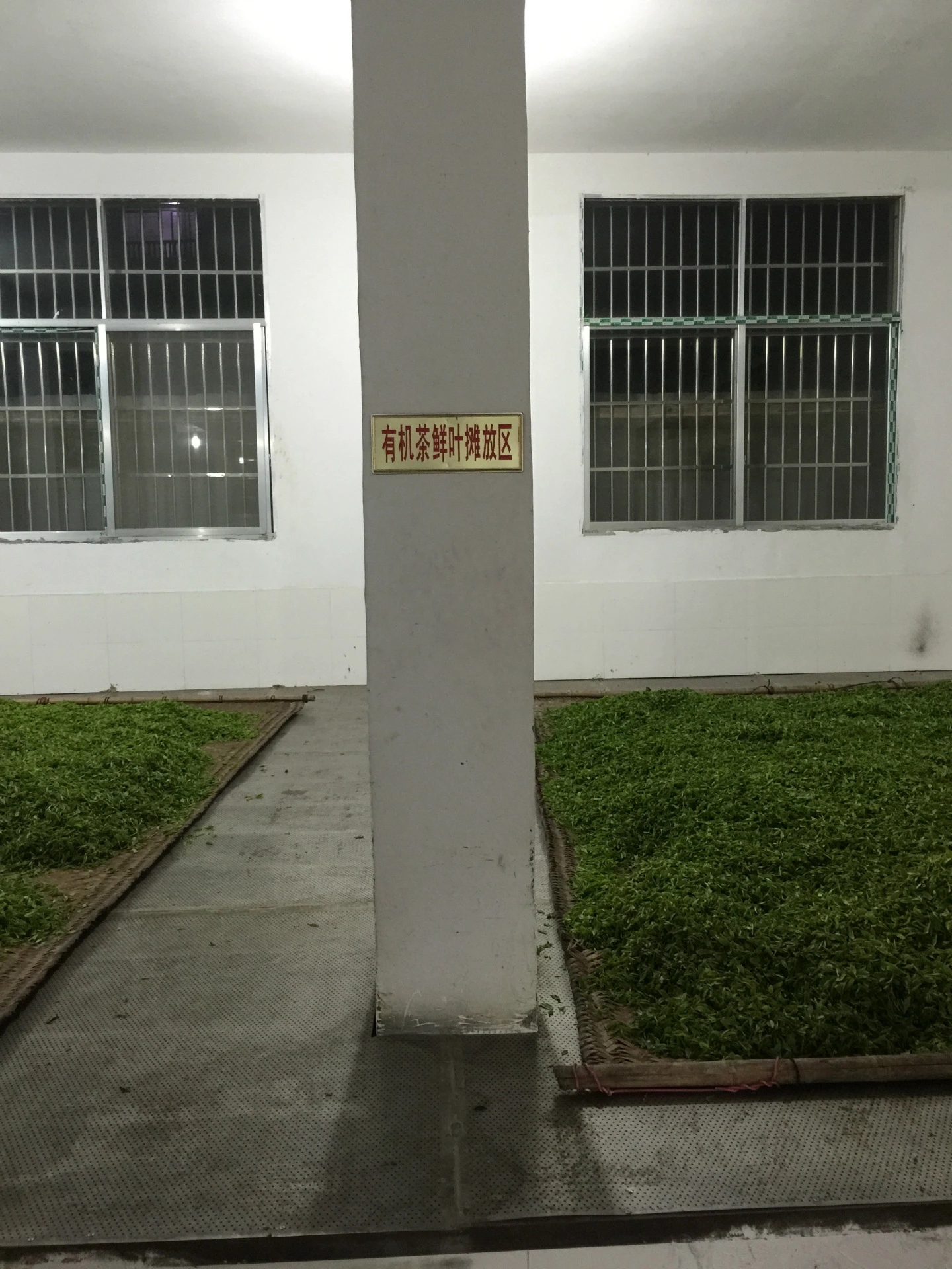 湖北恩施玉露茶伍家臺貢茶圖片/湖北恩施玉露茶伍家臺貢茶樣板圖 (4)
