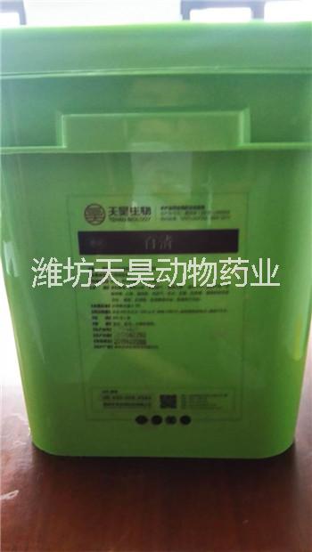 溫和型禽流感圖片/溫和型禽流感樣板圖 (3)