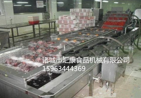 蔬菜氣泡清洗機(jī)水果鼓泡清洗機(jī)價(jià)格