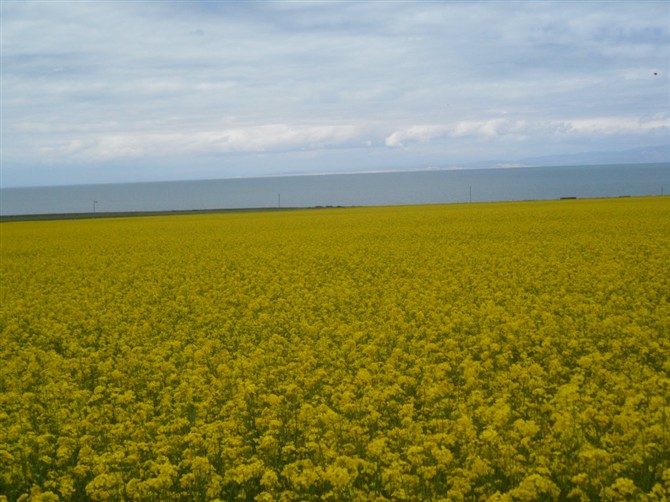 機場接送圖片/機場接送樣板圖 (2)
