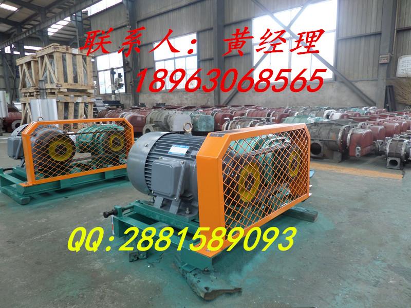 白灰鼓風(fēng)機(jī)|白灰羅茨鼓風(fēng)機(jī)廠家圖片/白灰鼓風(fēng)機(jī)|白灰羅茨鼓風(fēng)機(jī)廠家樣板圖 (3)