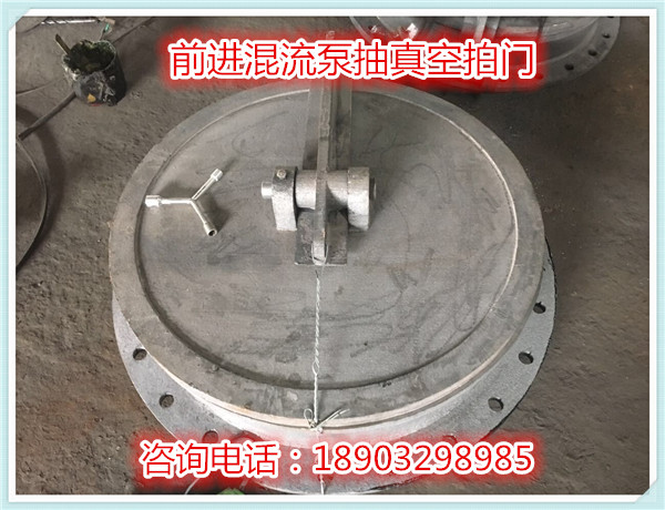 前進水工定制 前進水工定制DN60混流泵抽拍門