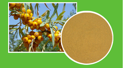 蛋白質(zhì)含量圖片/蛋白質(zhì)含量樣板圖 (2)