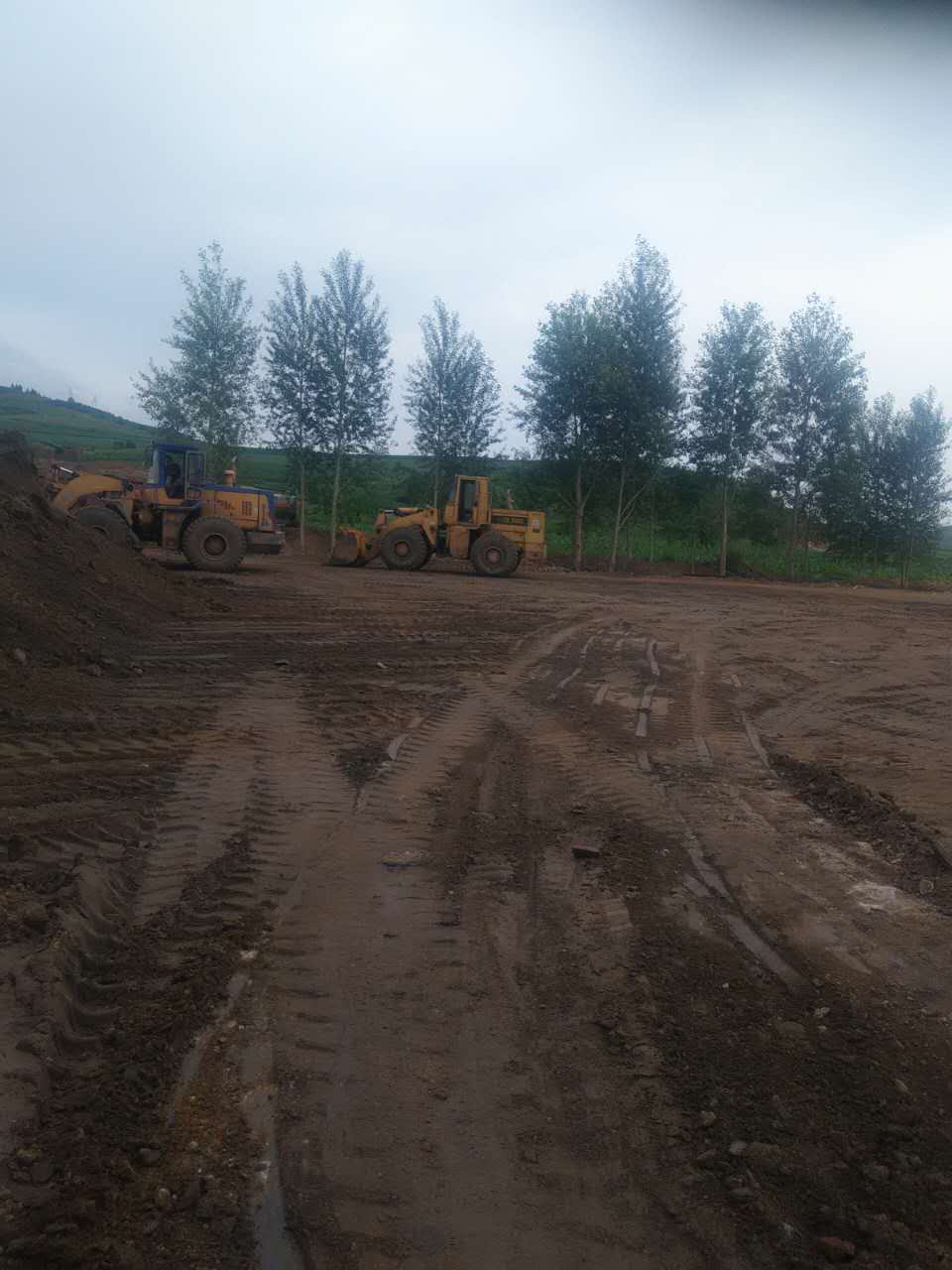 江沙圖片/江沙樣板圖 (4)