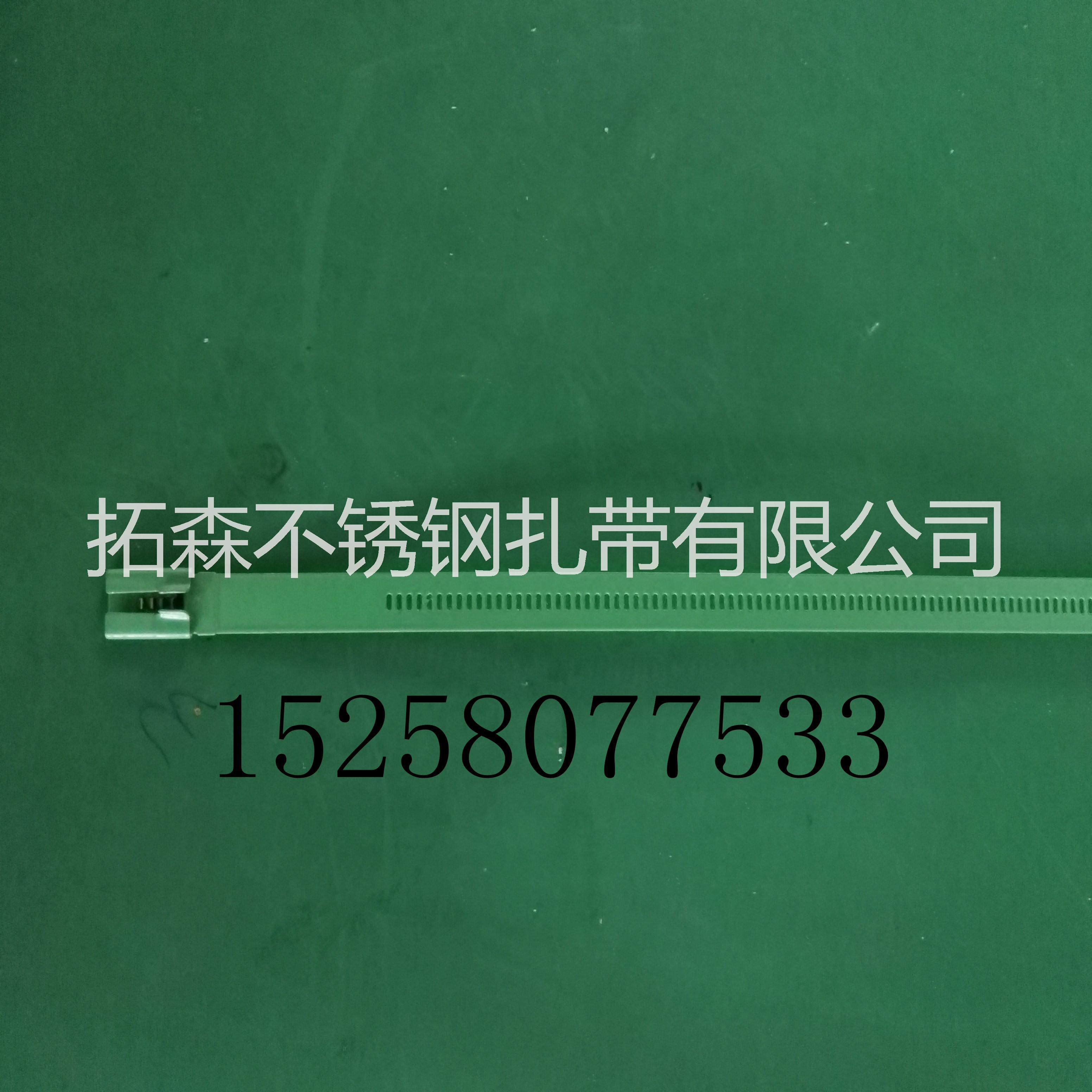 階梯式不銹鋼扎帶圖片/階梯式不銹鋼扎帶樣板圖 (1)