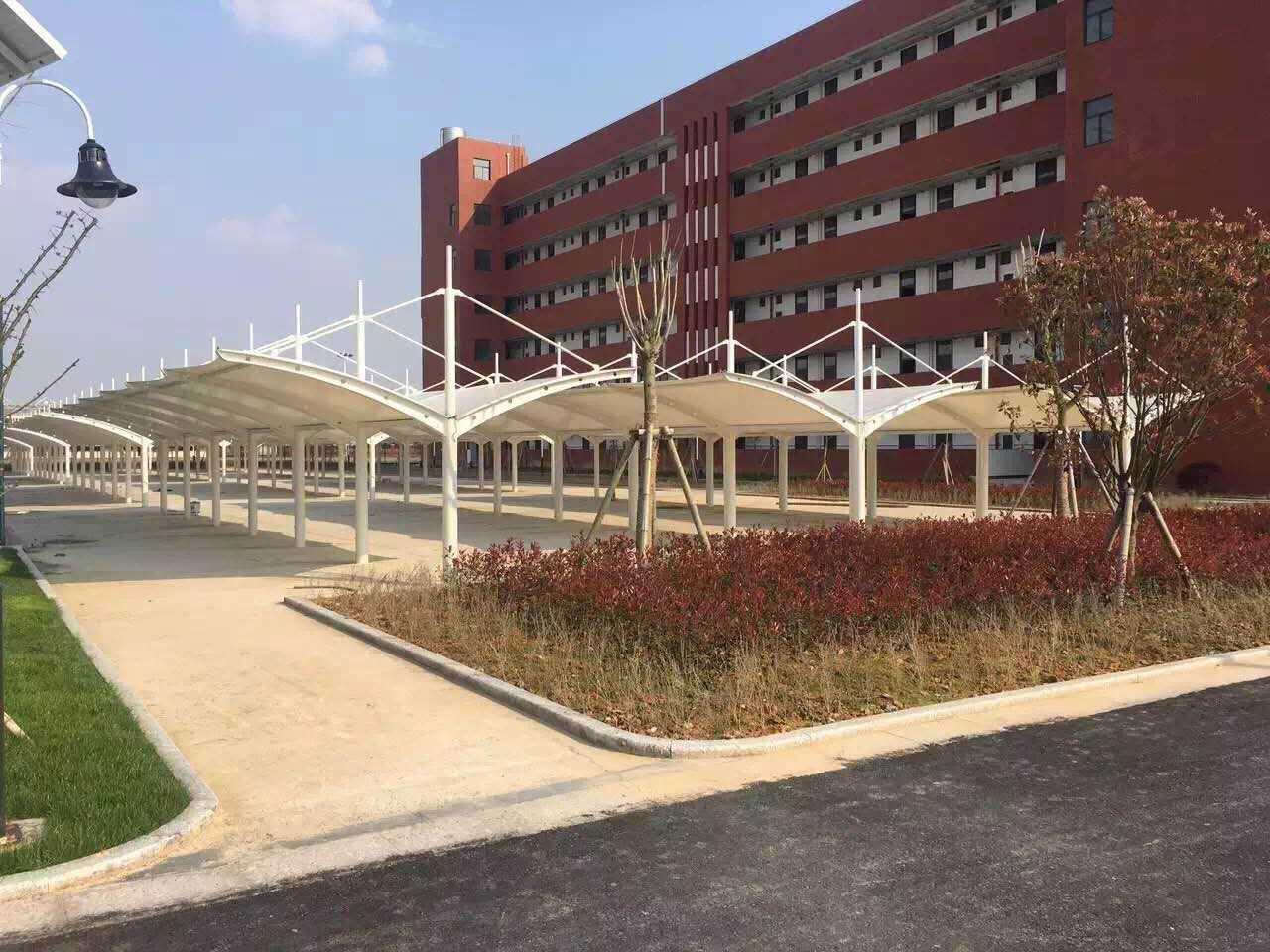 膜結構停車棚圖片/膜結構停車棚樣板圖 (1)