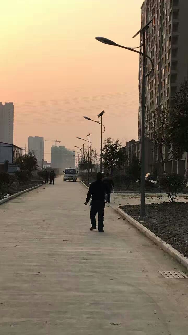 6m30w太陽能路燈圖片