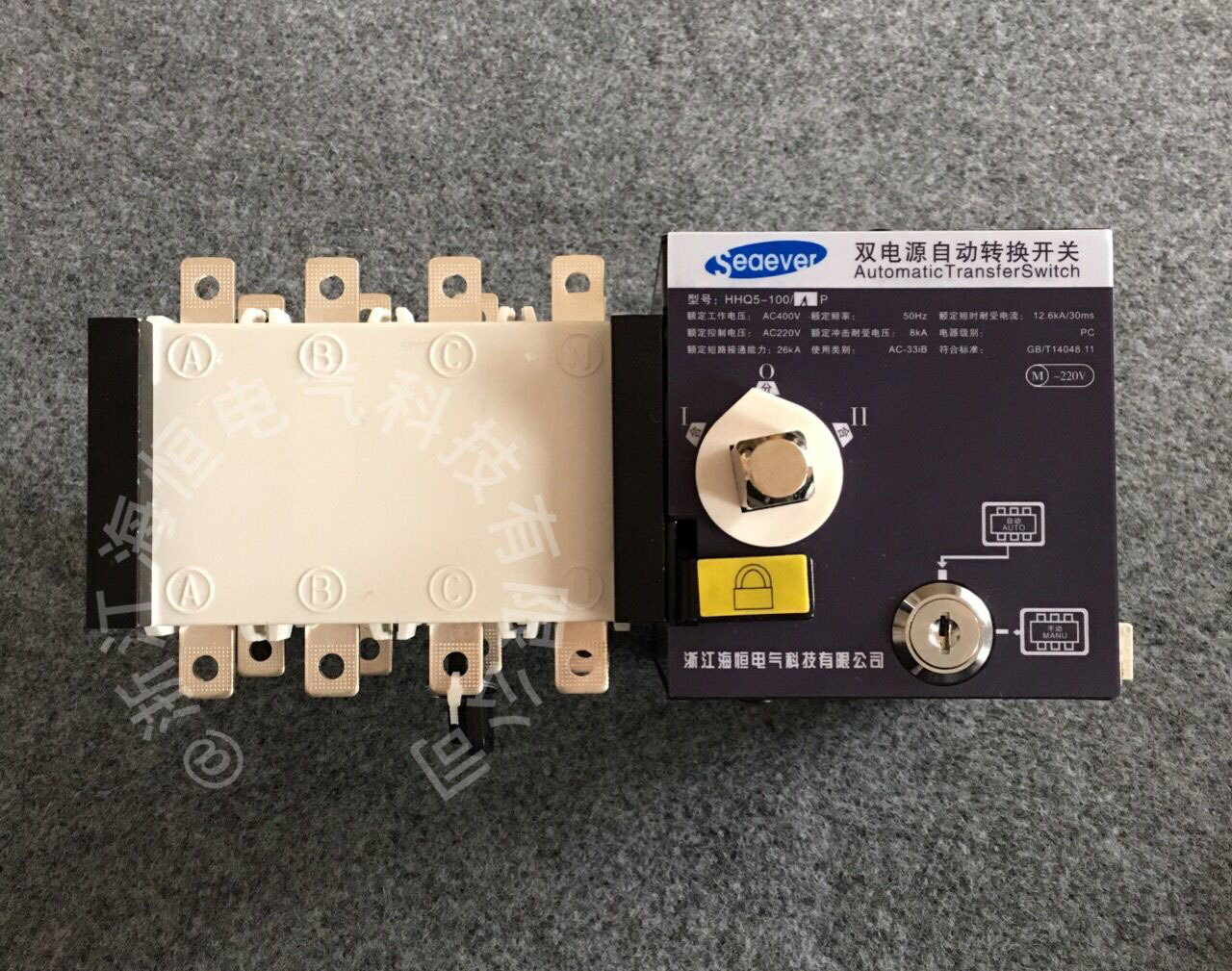 沈陽斯沃型雙電源圖片