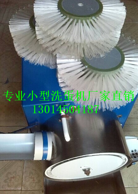 咸鴨蛋清洗機(jī)圖片/咸鴨蛋清洗機(jī)樣板圖 (4)