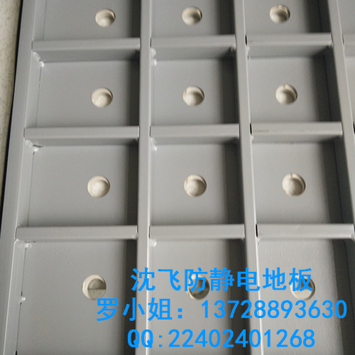 上海沈飛全鋼陶瓷防靜電通風(fēng)地板圖片/上海沈飛全鋼陶瓷防靜電通風(fēng)地板樣板圖 (4)