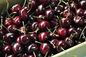 櫻桃 哪里有車?yán)遄淤u 車?yán)遄庸?yīng)