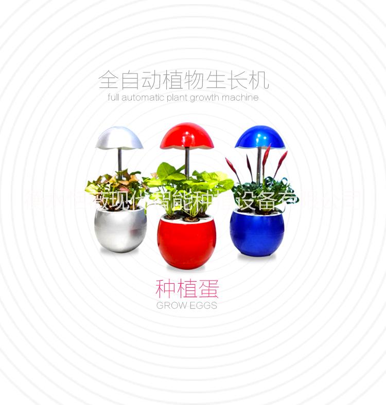 蔬菜花卉種植圖片/蔬菜花卉種植樣板圖 (1)