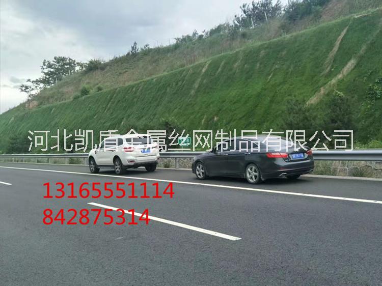 三維網(wǎng)植草 礦山復(fù)綠 掛網(wǎng)噴漿 山體綠化等護(hù)坡工程