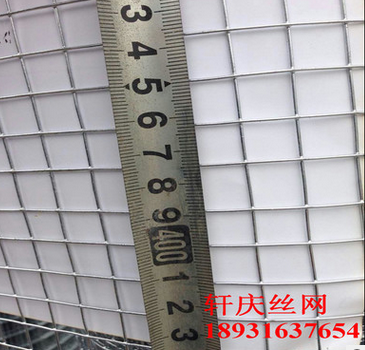 熱鍍鋅電焊網(wǎng)圖片/熱鍍鋅電焊網(wǎng)樣板圖 (3)