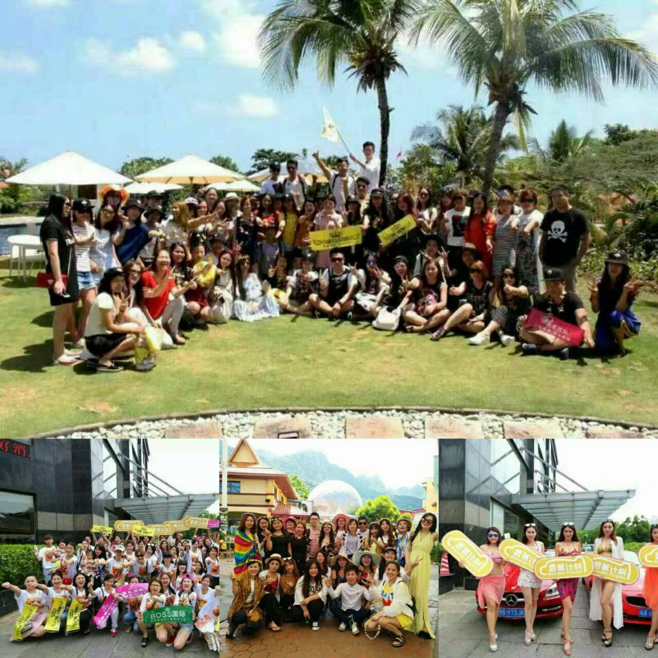 香蕉計(jì)劃龍圖片/香蕉計(jì)劃龍樣板圖 (4)