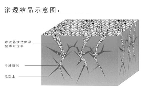 河南防水涂料圖片/河南防水涂料樣板圖 (3)