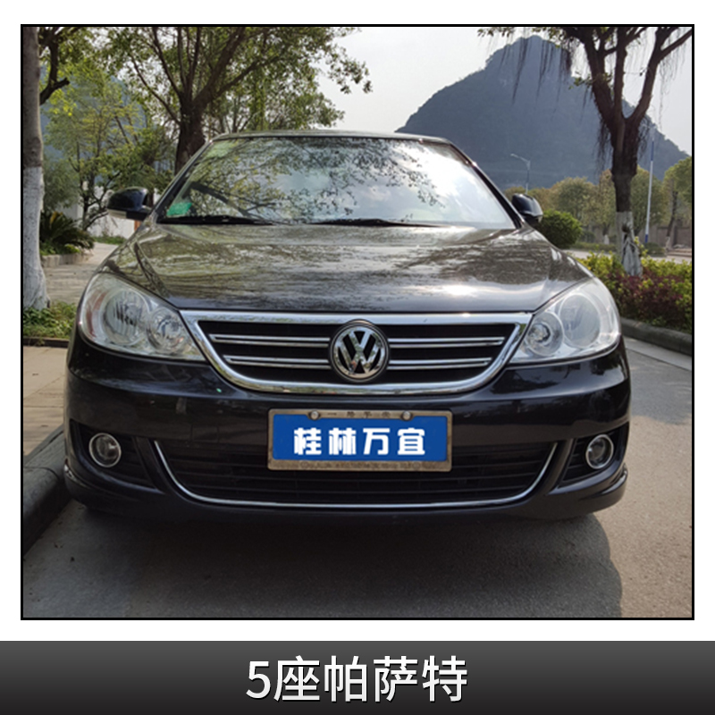 5座帕薩特圖片/5座帕薩特樣板圖 (1)