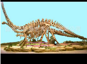 自貢仿真恐龍圖片/自貢仿真恐龍樣板圖 (3)